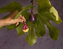 Fig dipped in gold chocolate
