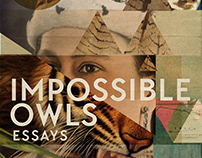impossible Owls