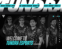 Tundra Esport — Website Redesign