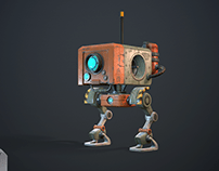 Wanderer robot
