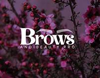 Brows & Beauty Pro