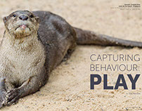 Capturing Behaviour: Play