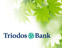 Triodos Bank redesign concept