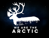 Arctic Graphics