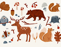 Forest Animals Collection