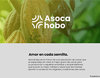 Asocahobo