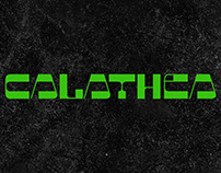 Calathea | Diseño de Identidad