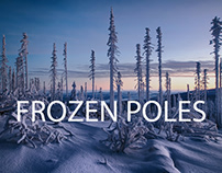 Frozen Poles