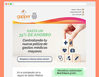 GAPPER MX - Redes sociales / Email marketing