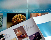 Art Show Invitation & Brochures