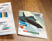 brochure:wellmetazone