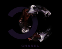 Chanel Equestrian