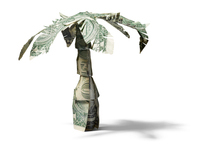Dollar Bill Palm Tree for REDBOOK Magazine