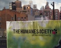 CREATIVE DIRECTION | Humane Society
