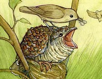 Children's Books Illustration - Nature and Animals