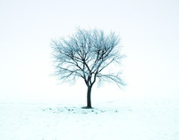 Winter time - minimalistic snow sqaures