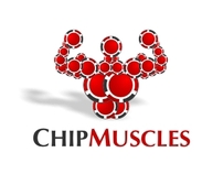 Chip Muscles