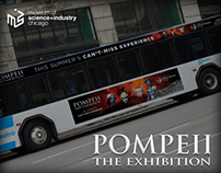 Pompeii Exhibit - MSI Chicago