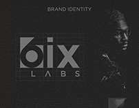 Six Labs Brand Identity Guidelines