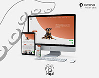 Diseño web Fundación Nepal