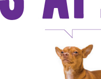 Westminster Dog Show Advertising Campaign