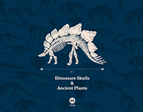 Dinosaur Skull & Ancient Forest Vector Illustration