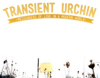 Transient Urchin Poster