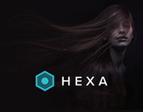 Hexa WordPress Theme