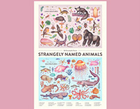 STRANGELY NAMED ANIMALS