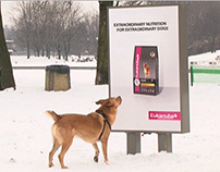 P&G Eukanuba "An Ad For Dogs", Outdoor/Ambient 2011