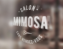 Branding - Salon Mimosa