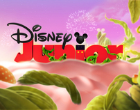 Disney Junior Fantasy World-ID