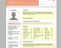 ZestNow.com Web graphics and Interface Designs