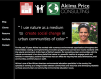 Akiima Price Consulting - www.apriceconsulting.com