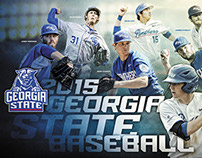 2014-15 GSU Baseball Poster