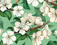 Watercolor apple flowers