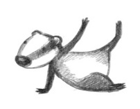Badger Series