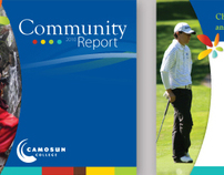 2010 Community Report for Camosn College