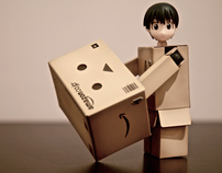 What's Danbo upto now?