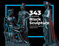 Collection of 343 Sculptures in Black Style