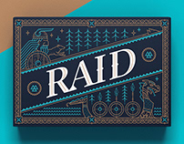Raid Game packaging