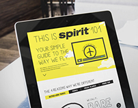 How To Fly Spirit Airlines