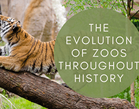 The Evolution of Zoos Throughout History