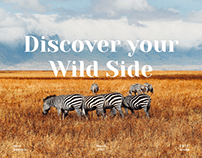 Safari Tours, Landing Page for Travel Agency