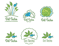 Creación de logotipo para Del Techo-Huertas Acuaónicas