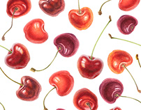 Delicious cherries. Watercolor illustrations
