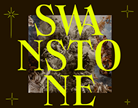 SWANSTONE - THE EVIL BEAUTY OF SHARP SERIF