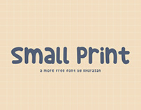 Small Print Display Font