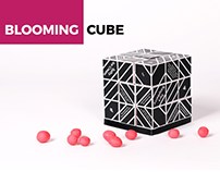 PACKAGING DESIGN Blooming Cube