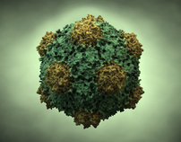 Cowpea Mosaic Virus